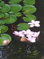 20190727_090220.webp