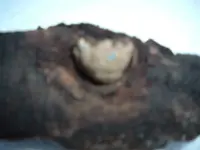 DSCF4404.webp
