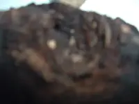 DSCF4405.webp