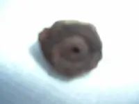 DSCF4406.webp