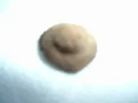 DSCF4407.webp