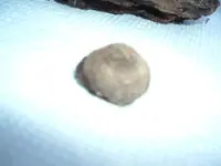 DSCF4408.webp