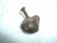 DSCF4416.webp