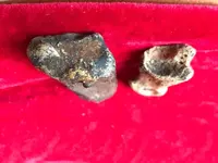 ImageUploadedByTreasureNet.com1569718003.445197.webp