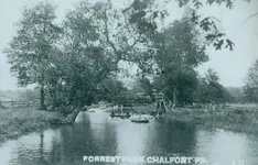 000ForestPark.webp 000ForestPark.webp
