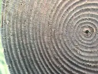 FED31C34-C1BC-4414-AB12-5D9B7F5FBE2E.webp