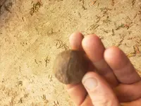20190918_165525.webp