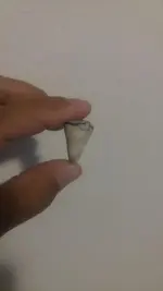 tooth 5.webp