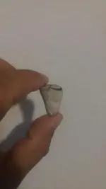 tooth 2.webp