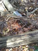 IMG_20191108_132248011.webp