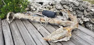 20191008_124725.webp