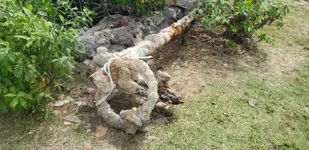20191008_124752.webp