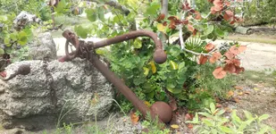 20191008_124938.webp