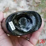 willington2.webp