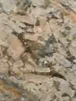 IMG_20190920_061008.webp