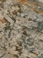 IMG_20190920_060942.webp