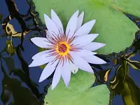 20190929_085301.webp