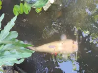 20190929_085333.webp
