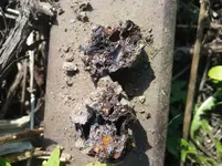20190910_113222.webp