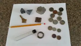 Beach Find9jpg.webp