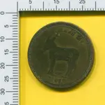 jpg506.webp