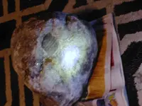 20190919_230421_HDR.webp