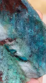 20190920_102813~2.webp