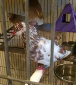 20190831_095245.webp