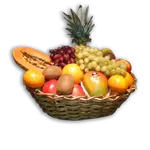 obstkorb-obstperle_600x600.webp obstkorb-obstperle_600x600.webp