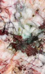 20190831_072937.webp