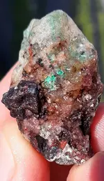 20190831_083657.webp