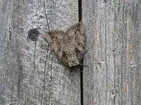 K1600_DSCN7122.webp
