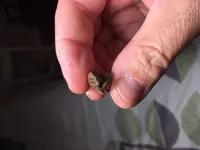 strange piece of lead 1 9-10-19.webp
