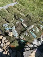 ImageUploadedByTreasureNet.com1570667236.491808.webp