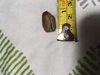strange piece of lead 5 9-10-19.webp strange piece of lead 5 9-10-19.webp