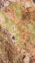 20190929_100425.webp