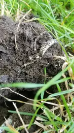 20191008_154809.webp