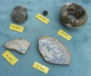 54c8943f1fe59_-_treasure-hunt-items-470-de.webp