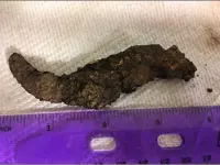 tail 3 9-20-19 hk.webp