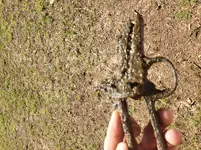 20190831_155421.webp