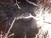 DSCN4132.webp