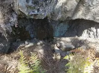20170817_113906.webp