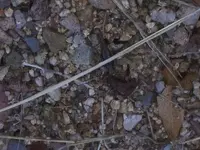 20191111_071316.webp