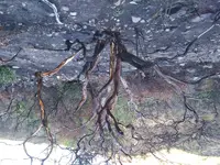 20191107_165030.webp 20191107_165030.webp