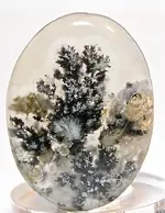 plume agate 2.webp