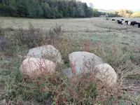 ROCKS.webp