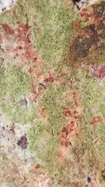 20190929_130128.webp