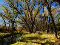 walk 102719 1.webp