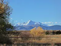 walk 102719 2.webp
