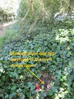 Finds 9-30-19 003.webp